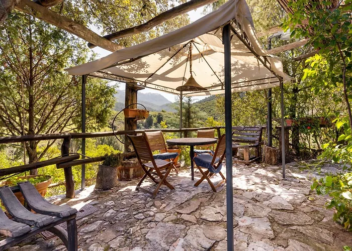 Orgoai فيلة أورغوسولو